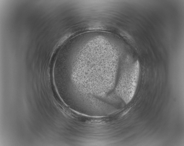 X0000061140298200512022255