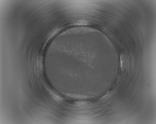 X0000061140300200512022255