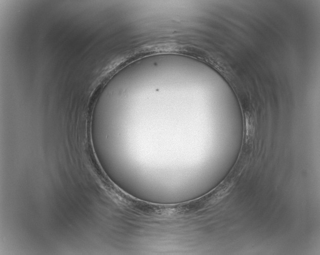 X0000061140301200512022255