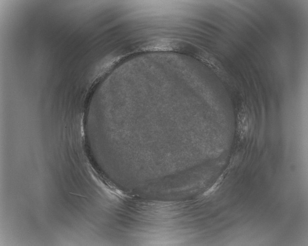 X0000061140302200512022255