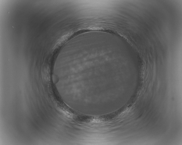 X0000061140303200512022255