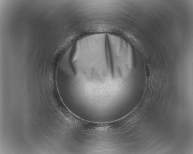 X0000061140306200512022254