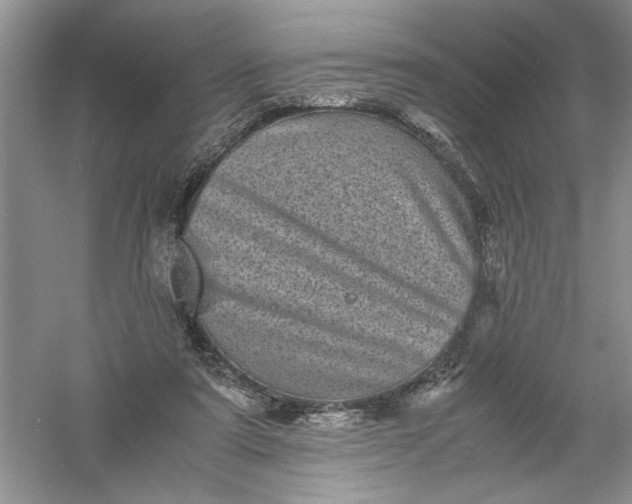 X0000061140307200512022254