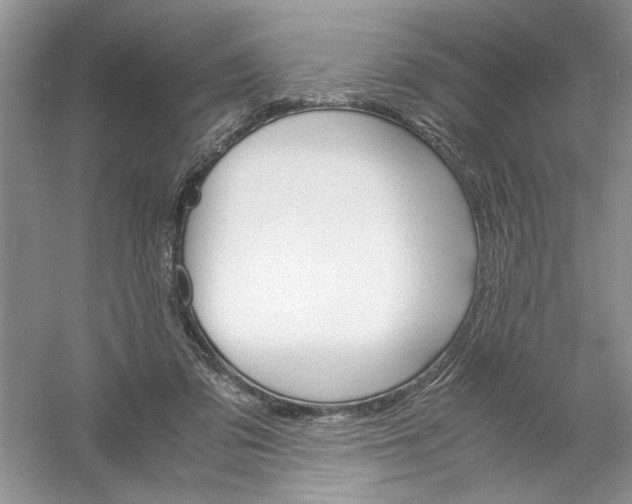 X0000061140309200512022254