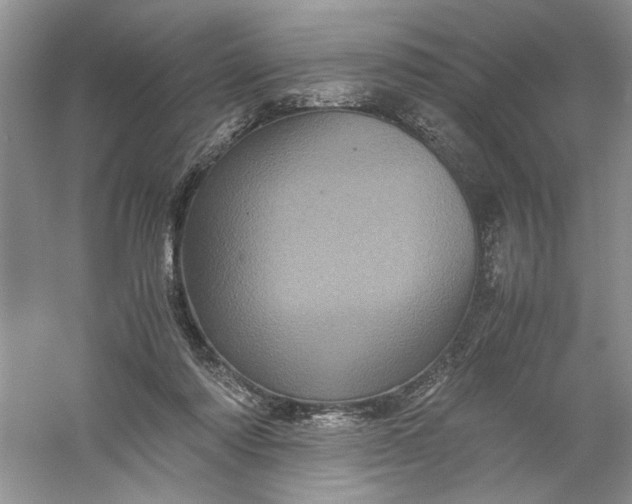 X0000061140310200512022254