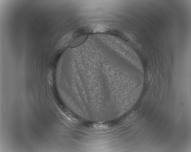 X0000061140311200512022254