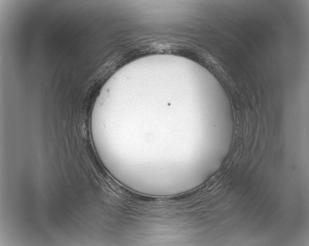 X0000061140313200512022254