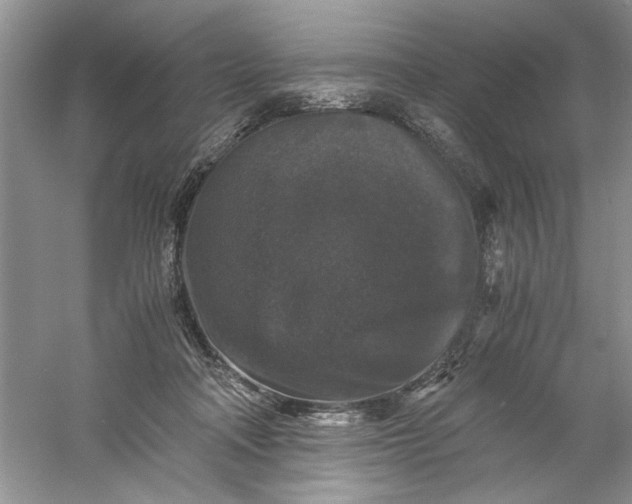 X0000061140314200512022254