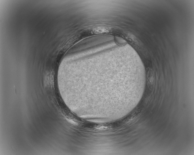 X0000061140315200512022254