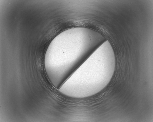 X0000061140317200512022254