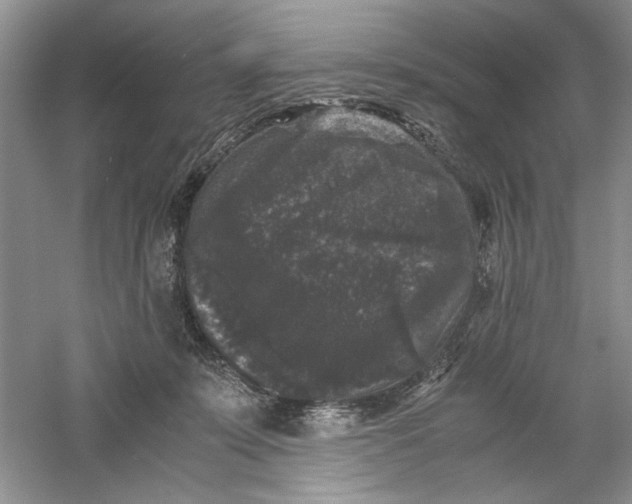 X0000061140319200512022254