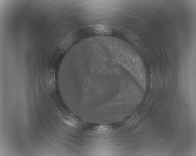 X0000061140320200512022254