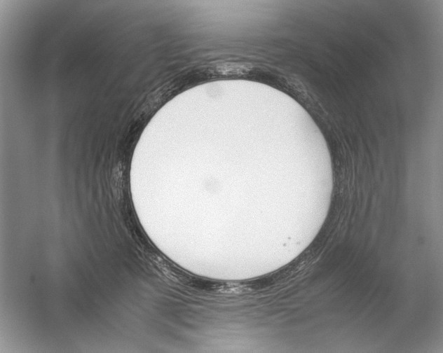 X0000061140321200512022254