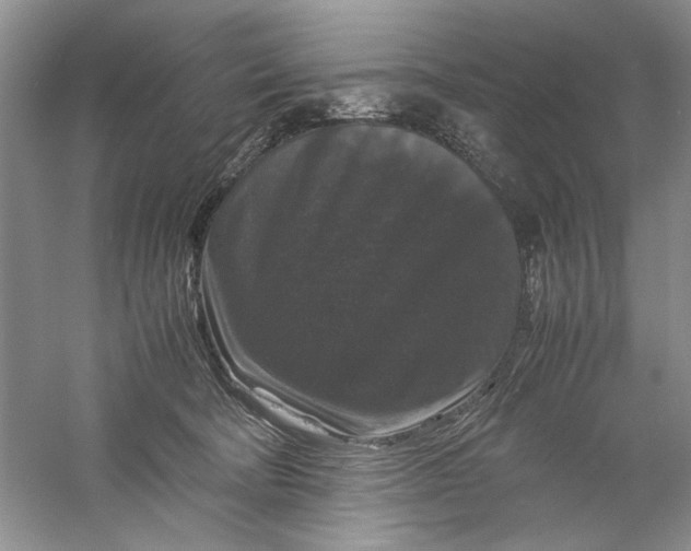 X0000061140322200512022254