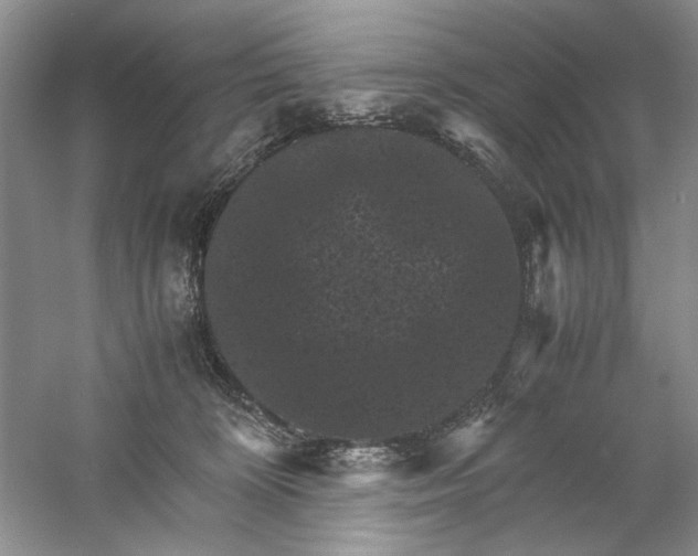 X0000061140324200512022254