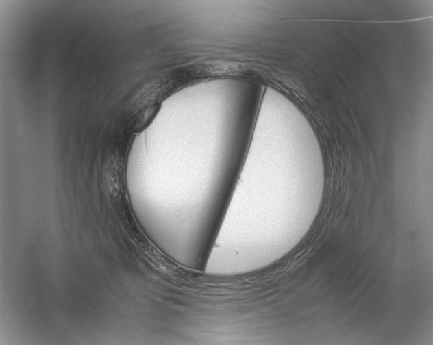 X0000061140325200512022254