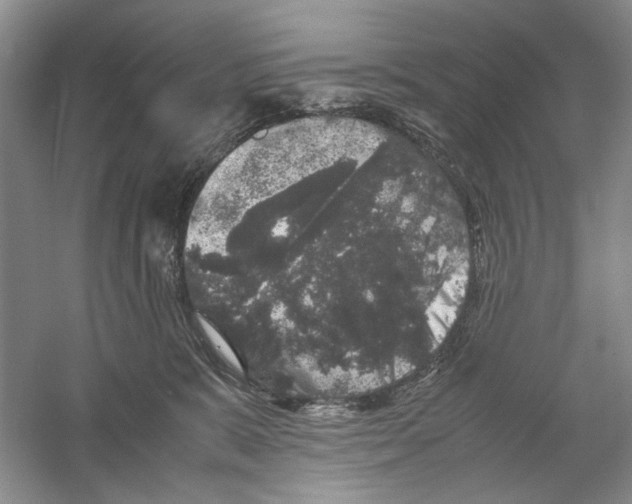 X0000061140327200512022254