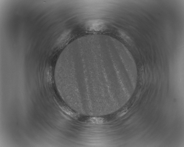 X0000061140328200512022254