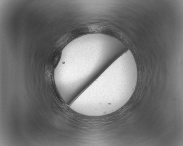 X0000061140329200512022254