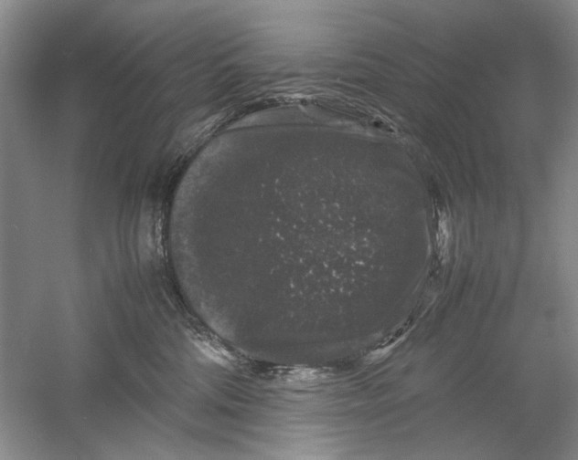 X0000061140330200512022254