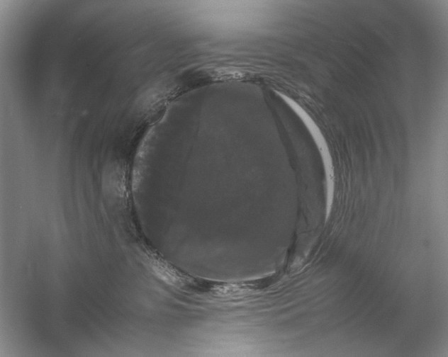 X0000061140331200512022254