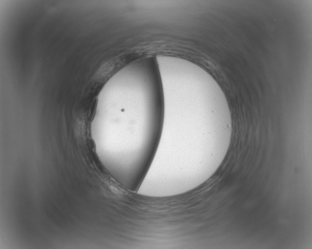 X0000061140333200512022254