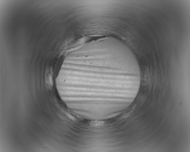 X0000061140334200512022254