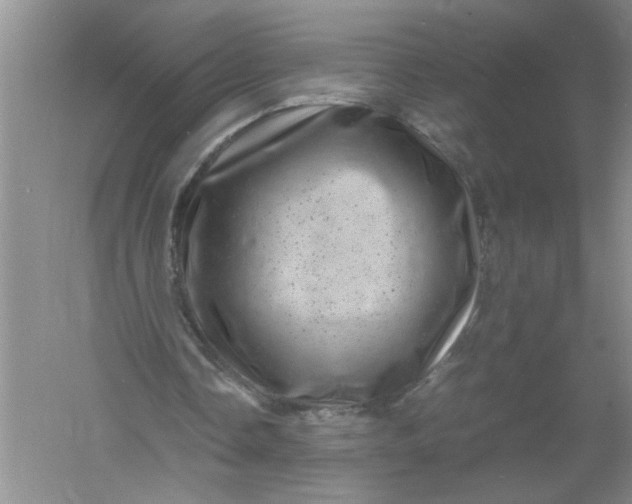 X0000061140338200512022253