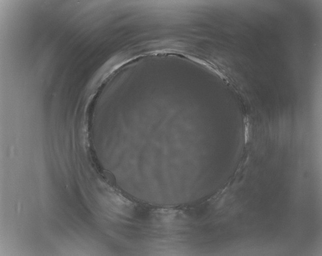 X0000061140339200512022253