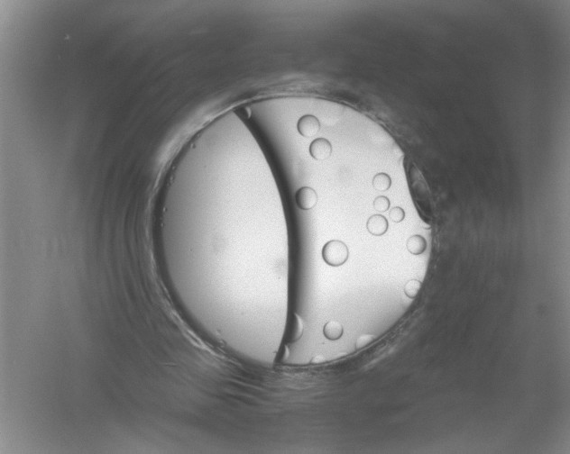 X0000061140341200512022253