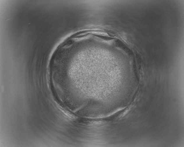 X0000061140342200512022253