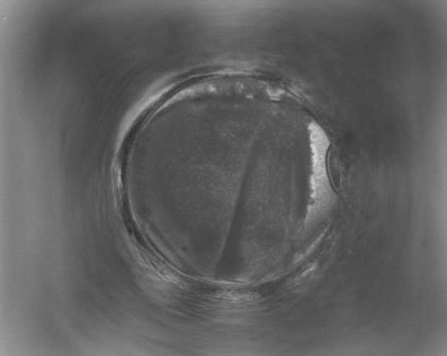 X0000061140343200512022253