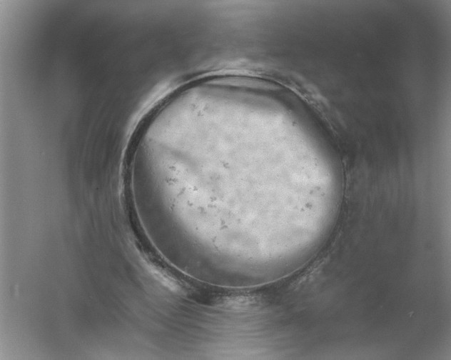 X0000061140344200512022253