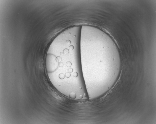 X0000061140345200512022253