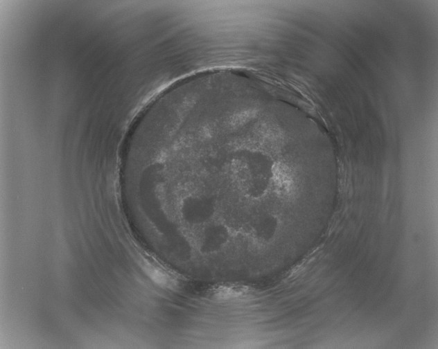 X0000061140346200512022253