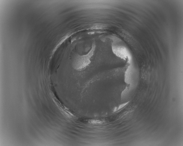 X0000061140347200512022253