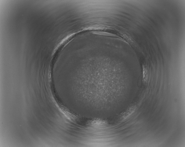 X0000061140348200512022253