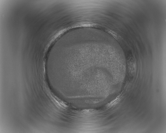 X0000061140350200512022253