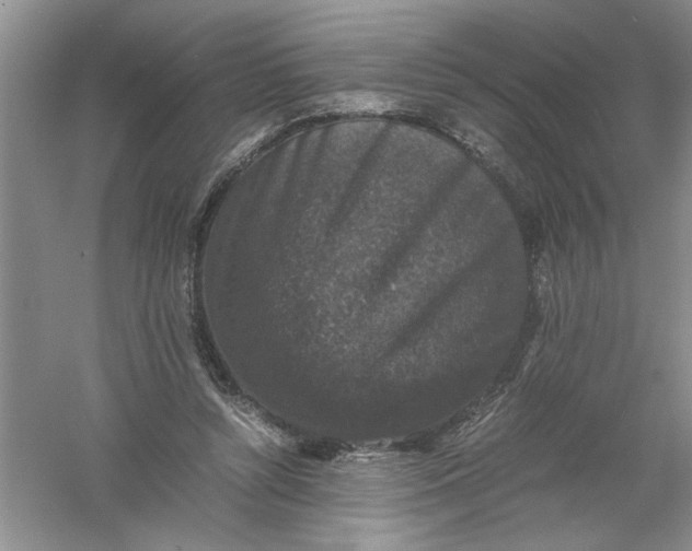 X0000061140352200512022253