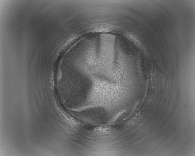 X0000061140354200512022253