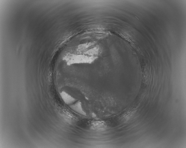 X0000061140355200512022253