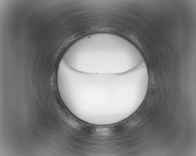 X0000061140357200512022253