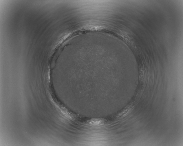 X0000061140358200512022253