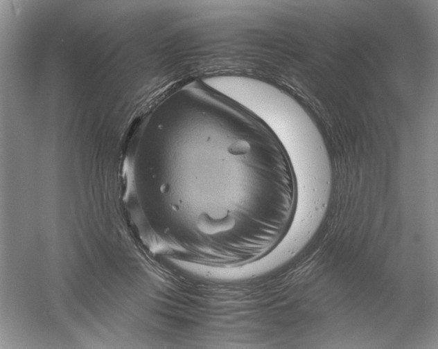 X0000061140359200512022253