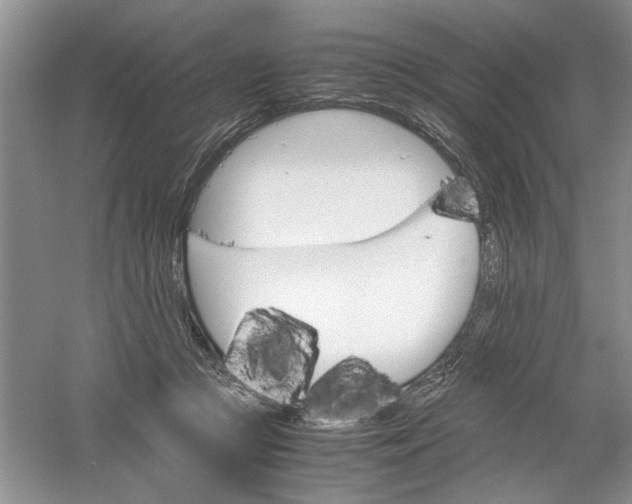 X0000061140361200512022254