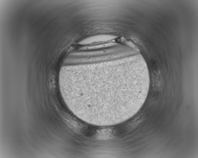 X0000061140362200512022254