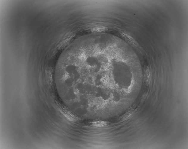 X0000061140363200512022254