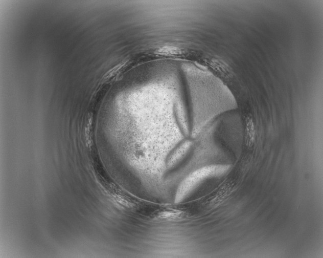 X0000061140364200512022254