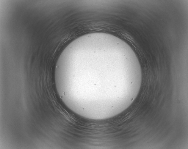 X0000061140365200512022254