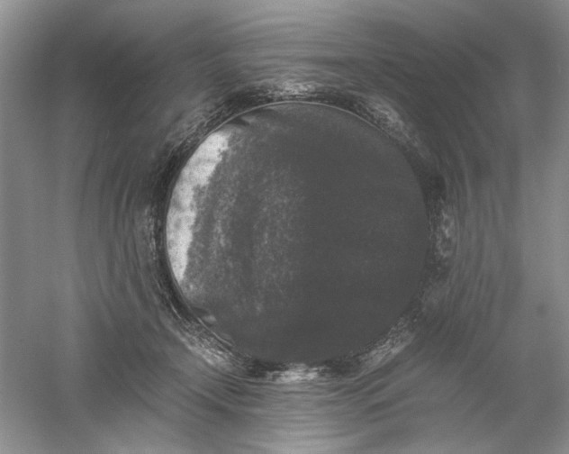 X0000061140366200512022254